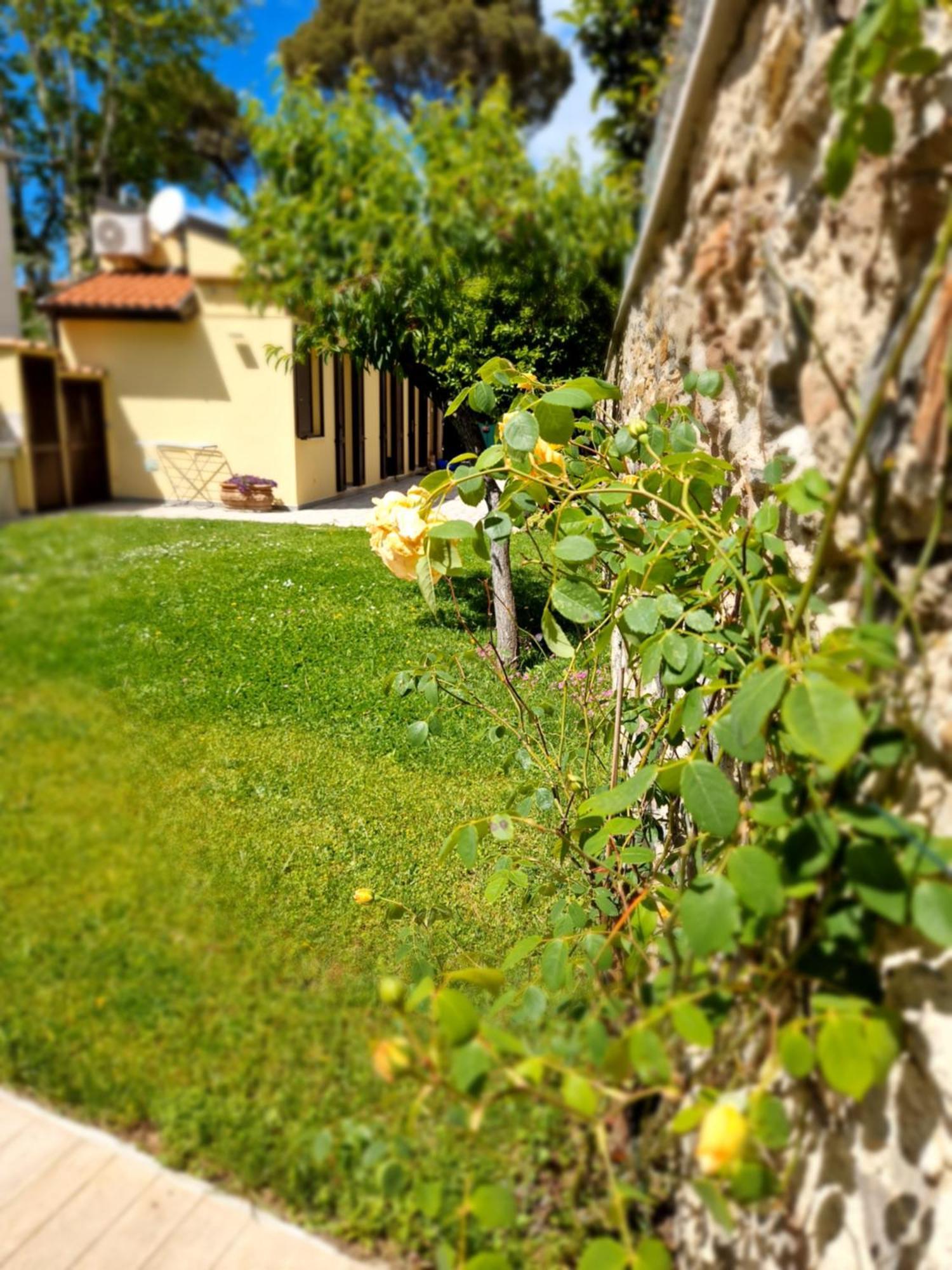 Serra Di Mare Casa Con Giardino Ліворно Екстер'єр фото